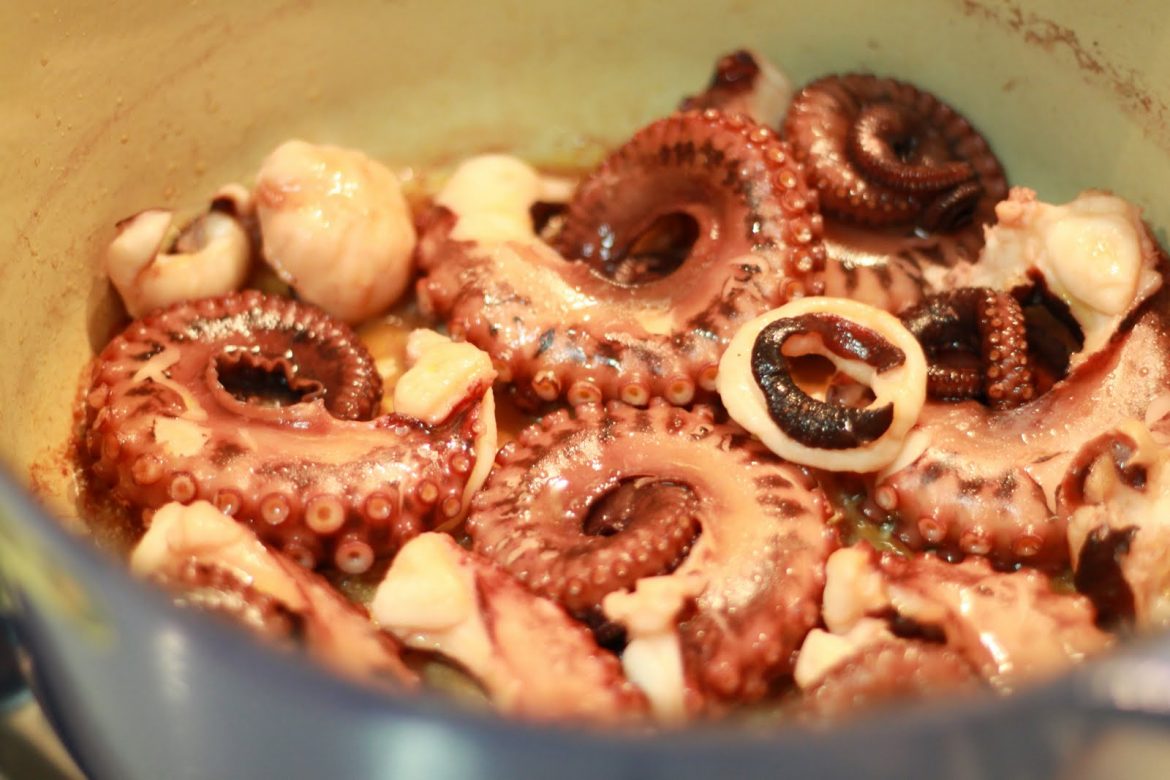 EM5 12 TM Cephalopods