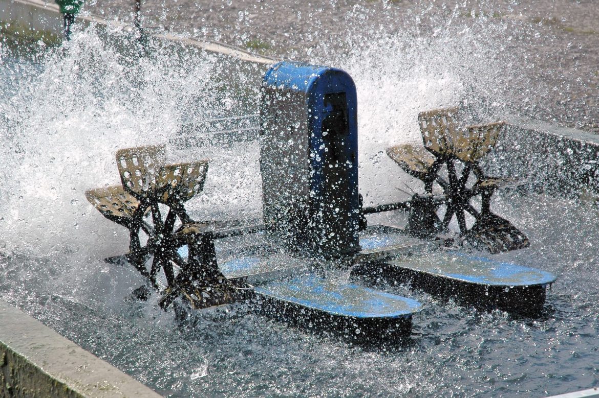 Aeration systems and pure oxygen in aquaculture Eurofish