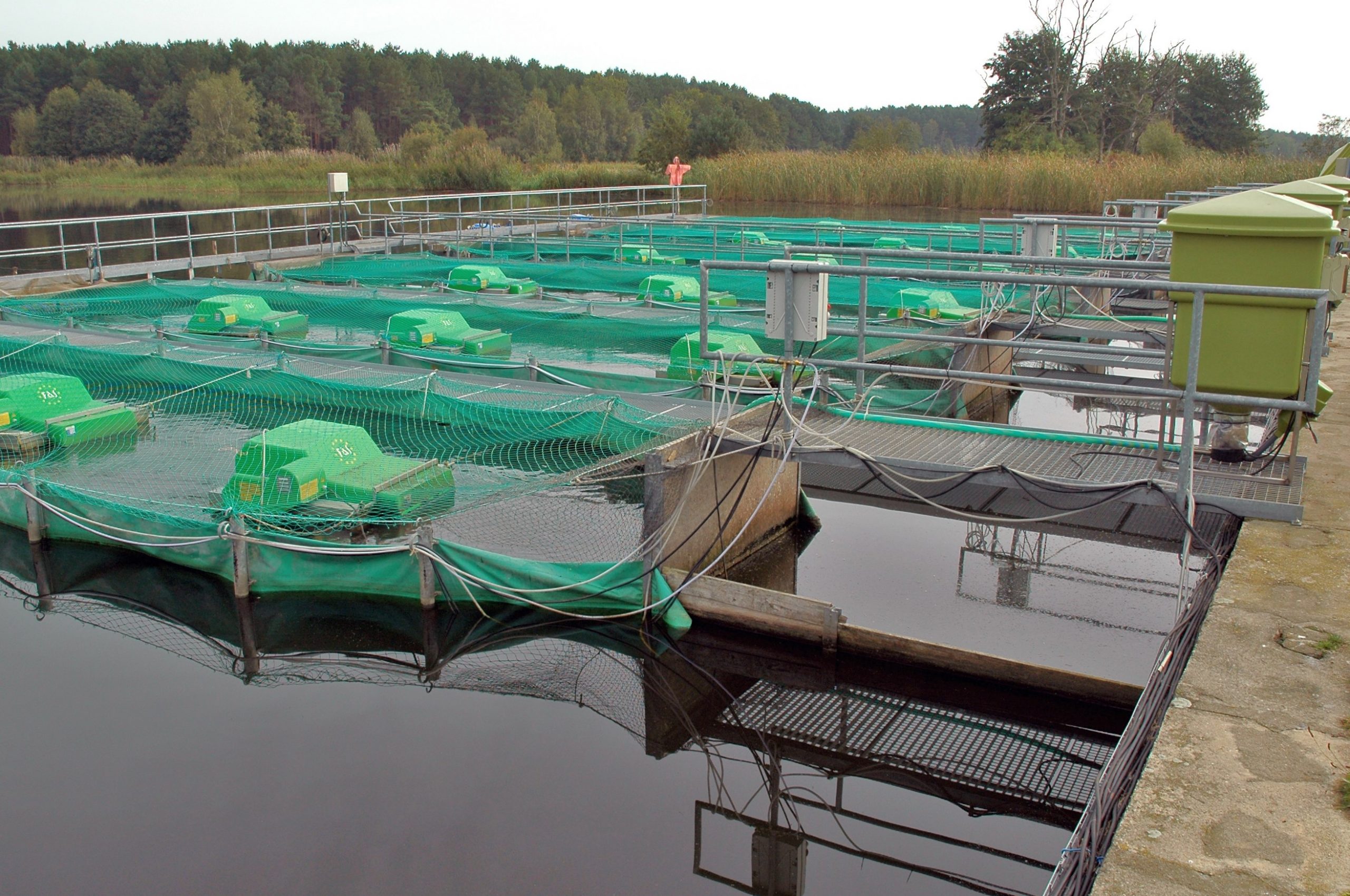 Aeration systems and pure oxygen in aquaculture Eurofish