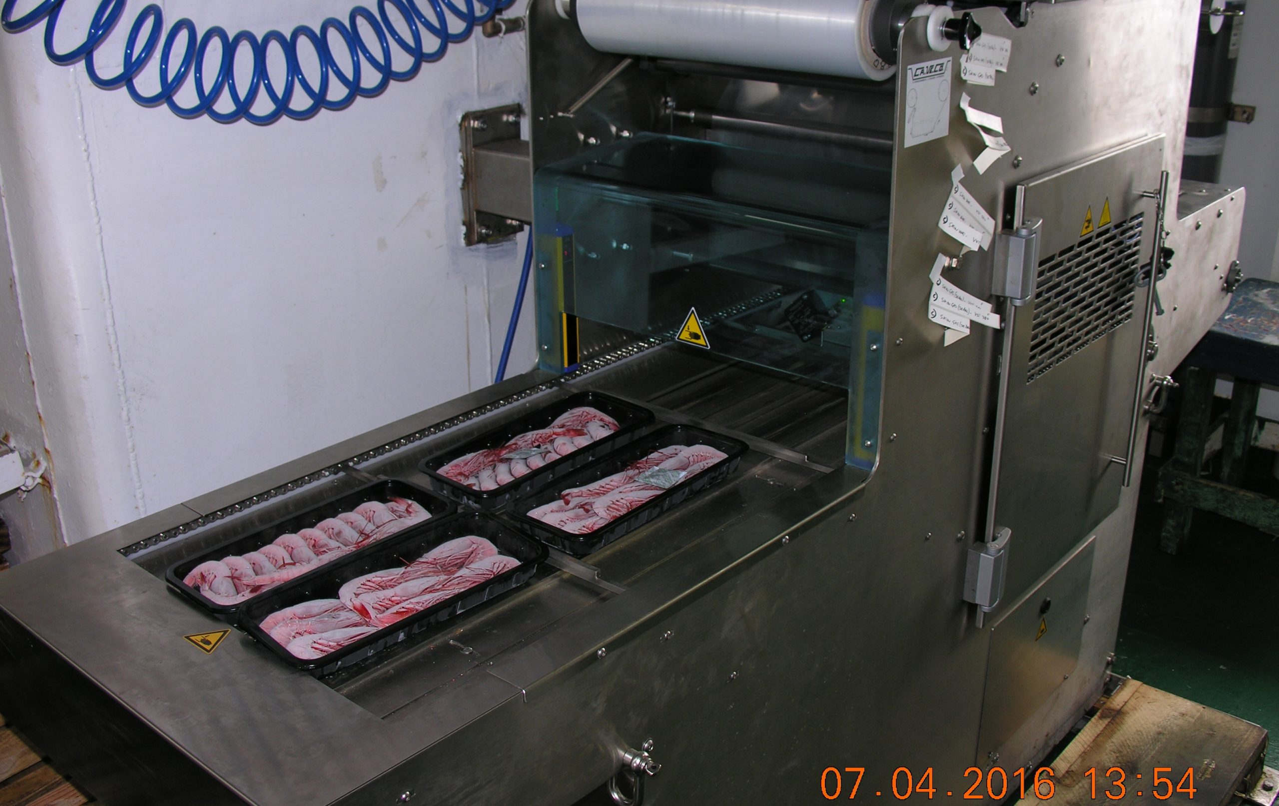 EM6 16 PRO Shrimp Fig. 4a ypsylon processing