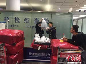 Two hundred kilos of European glass eel coming from Portugal via Amsterdam were seized at Hangzhou Airport in 2017. EM2 18 News Int Eel traffiking
