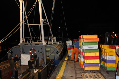 EM1 19 News Int Poland