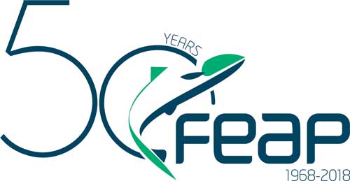 EM2 19 News Int FEAP