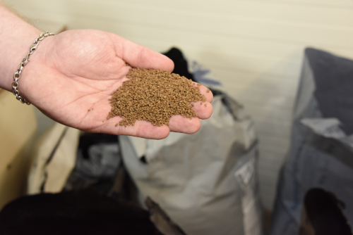 EM4 19 News Int FFeed DSC3385