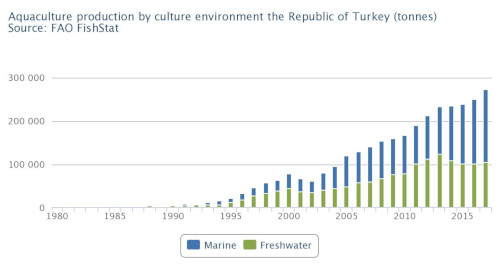 EM4 19 News Turkey economy2