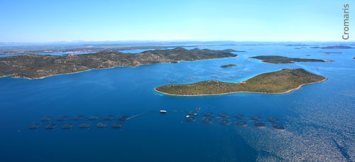 EM1 20 News Int Cromaris