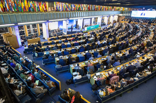 Image credit: FAO/Pier Paolo Cito