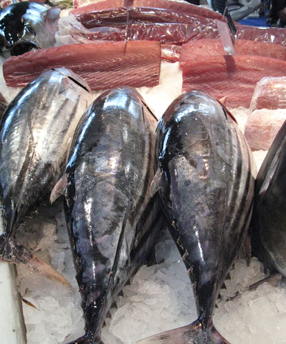 EM1 20 News Int Tuna