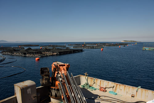 EM2 20 News Int BalckSea