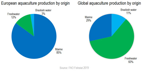 EM2 20 News Int aquaculture1