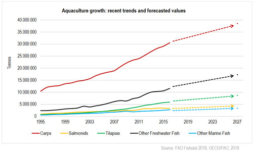 EM2 20 News Int aquaculture2