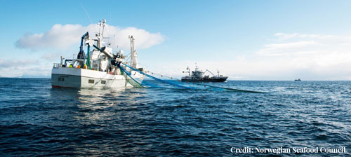 EM1 21 News Int Norway