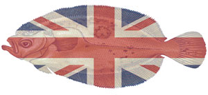 EM2 21 News UK fish