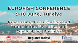 EF Conf Türkiye - right side